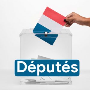 Formation rapide : Création RAPIDE et FACILE d'un fichier des députés de votre région (BONUS fichier des 577 députés)